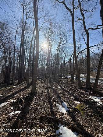 0.48 Acres of Residential Land for Sale in Pocono Lake, Pennsylvania