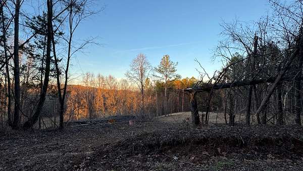 5.47 Acres of Residential Land for Sale in Decatur, Tennessee