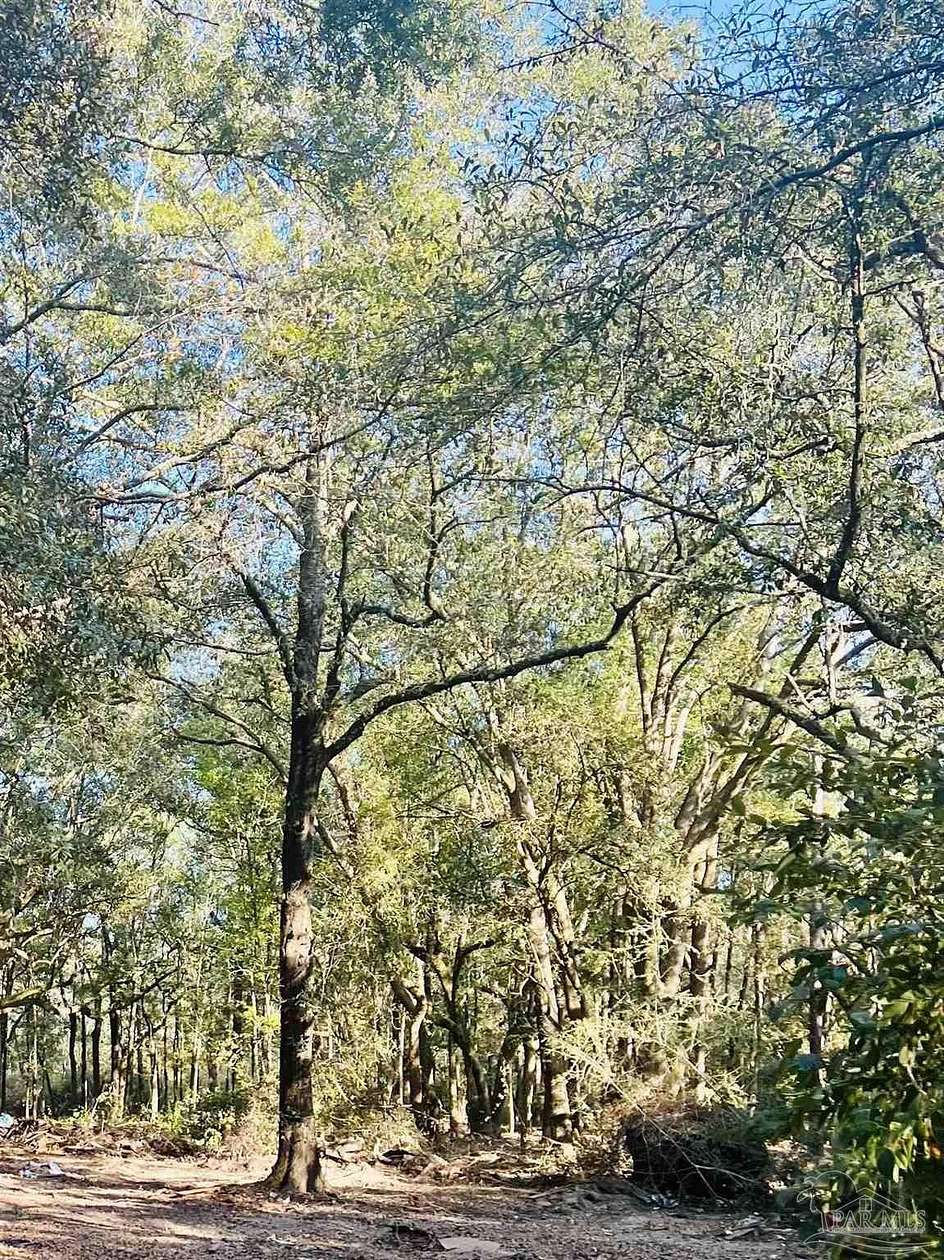 5 Acres of Land for Sale in Milton, Florida