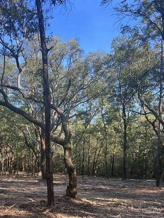 5 Acres of Mixed-Use Land for Sale in Milton, Florida