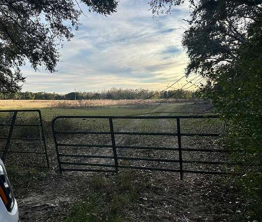 59.5 Acres of Land for Sale in Alamo, Georgia