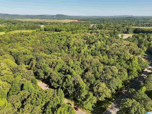 19.2 Acres of Land for Sale in Wilsonville, Alabama
