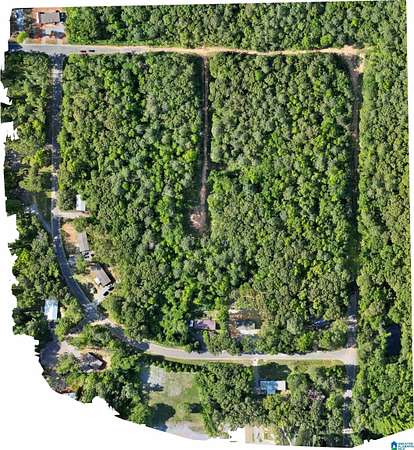 19.2 Acres of Land for Sale in Wilsonville, Alabama