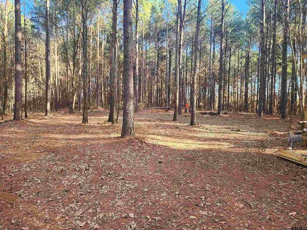 2 Acres of Residential Land for Sale in Pittsburg, Texas