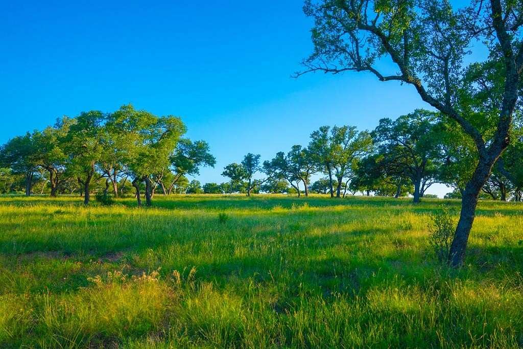 9 Acres of Land for Sale in Johnson City, Texas