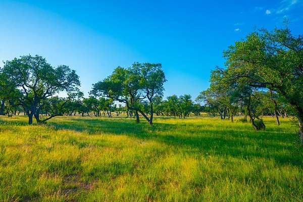 9 Acres of Agricultural Land for Sale in Johnson City, Texas