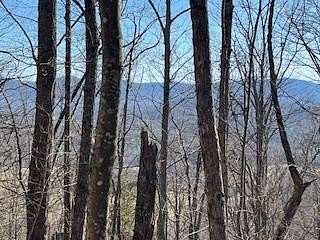 28.9 Acres of Land for Sale in Morganton, Georgia