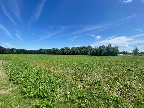 23.7 Acres of Agricultural Land with Home for Sale in Bloomfield, Missouri