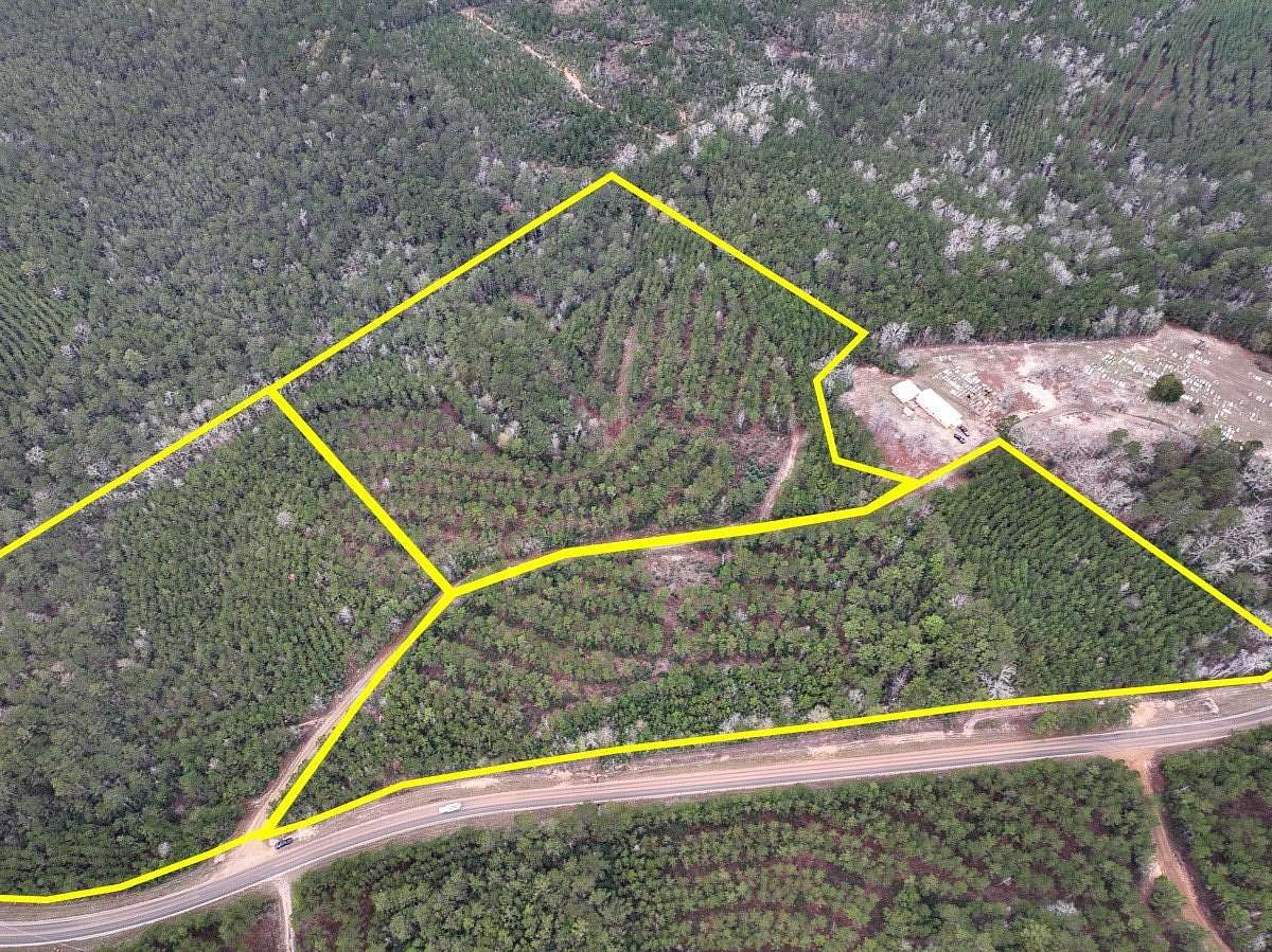 32 Acres of Recreational & Residential Land for Sale in Newton, Texas