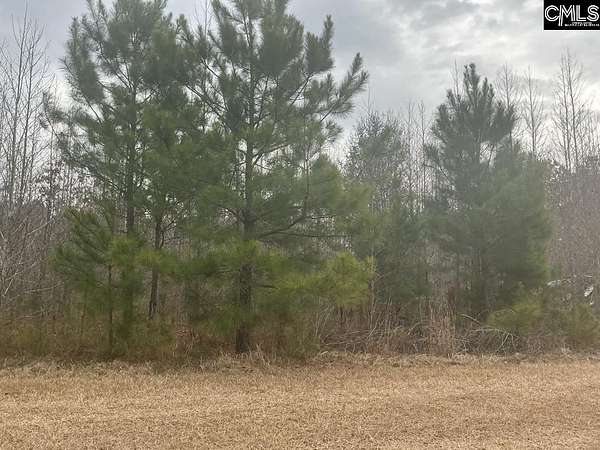 2.38 Acres of Residential Land for Sale in Salters, South Carolina