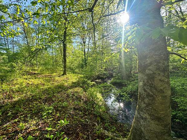 2.23 Acres of Residential Land for Sale in Hohenwald, Tennessee