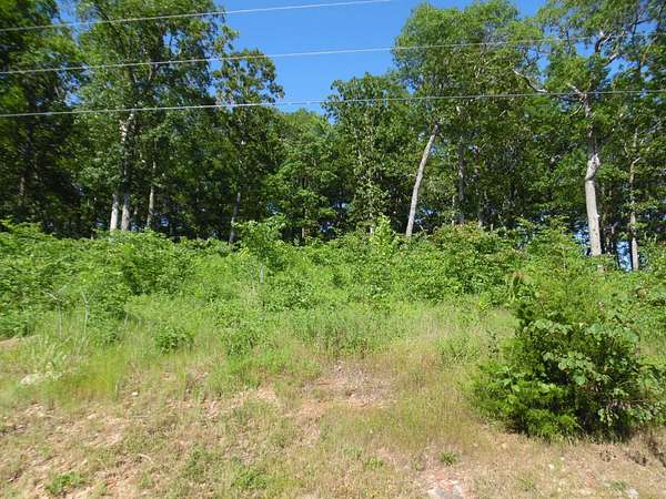 0.45 Acres of Residential Land for Sale in Bath Springs, Tennessee