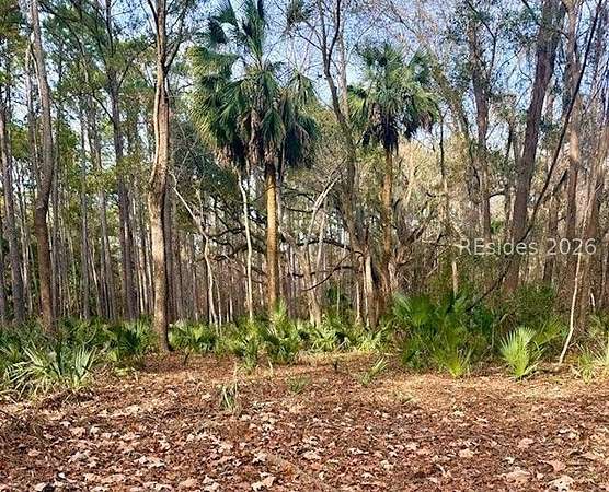 Land for Sale in Daufuskie Island, South Carolina