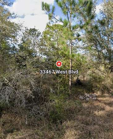 1.16 Acres of Residential Land for Sale in Webster, Florida