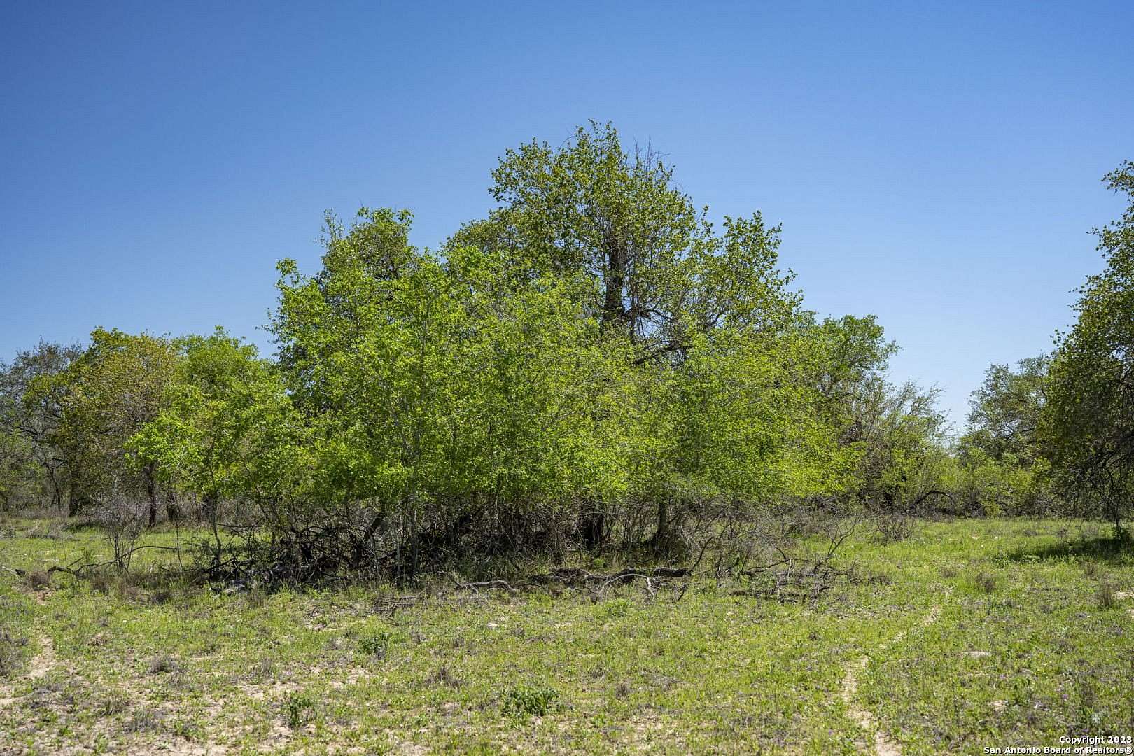 11.7 Acres of Land for Sale in Natalia, Texas