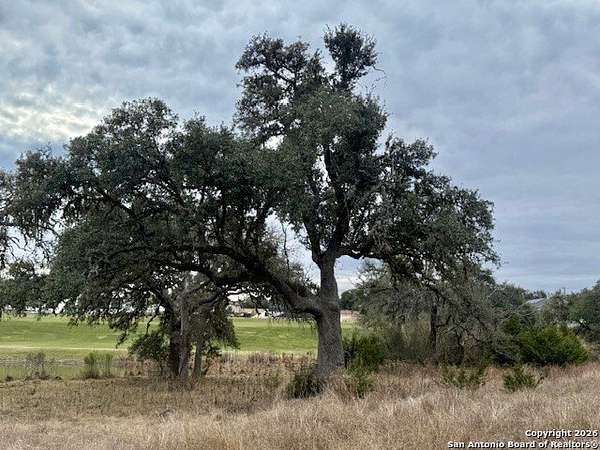 0.22 Acres of Residential Land for Sale in Blanco, Texas