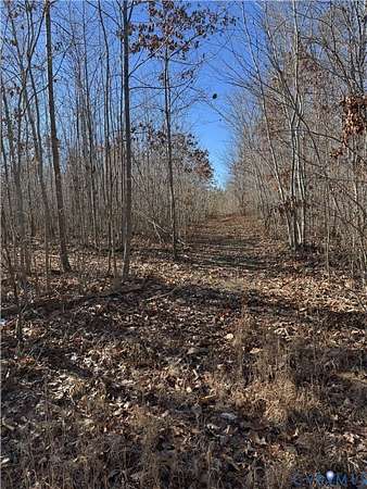 50.6 Acres of Recreational Land for Sale in Mineral, Virginia
