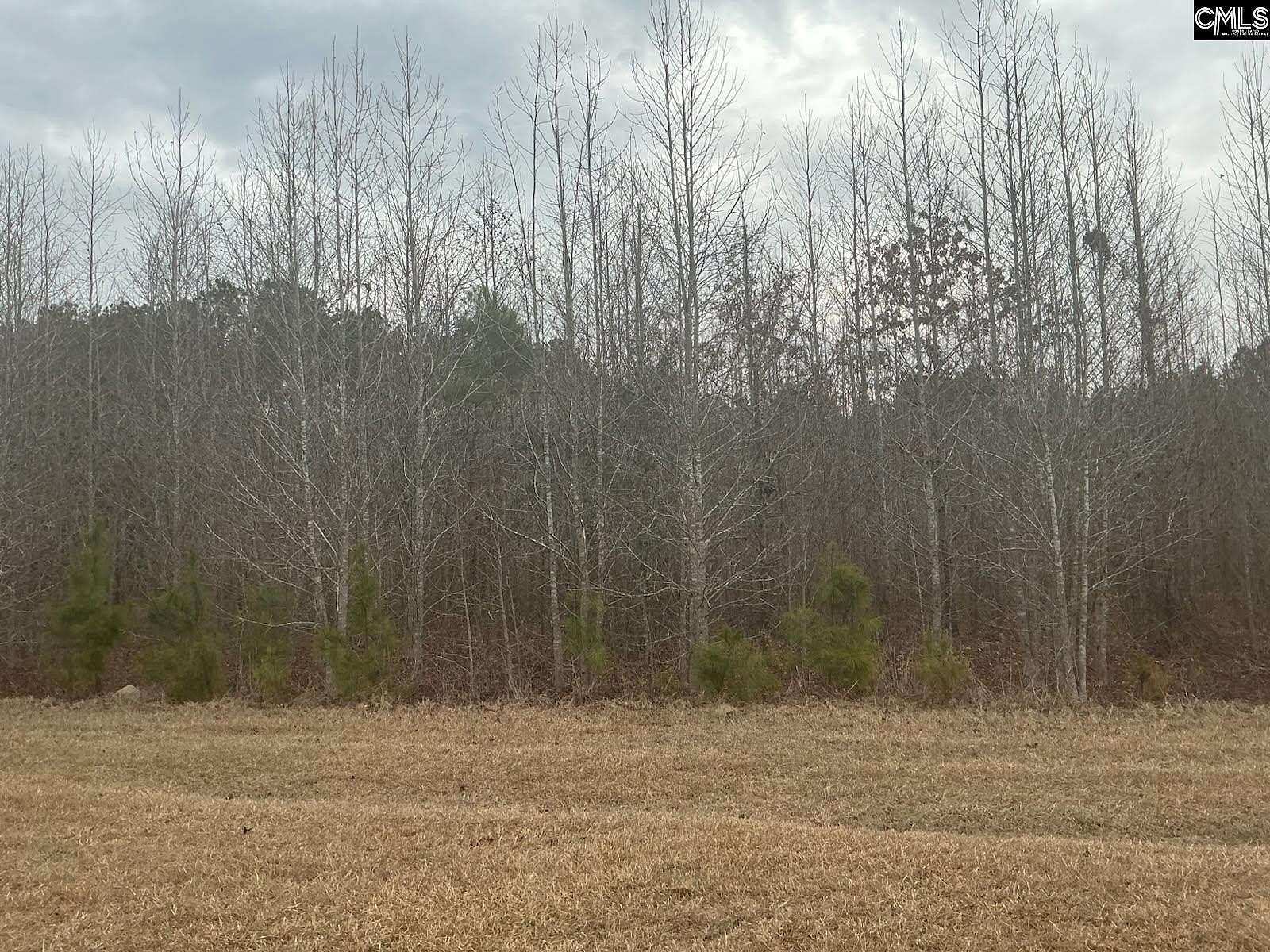 1.19 Acres of Residential Land for Sale in Salters, South Carolina