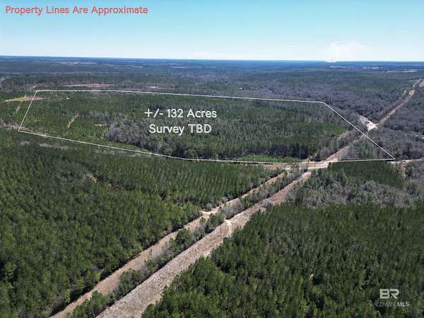 132 Acres of Recreational Land for Sale in Atmore, Alabama