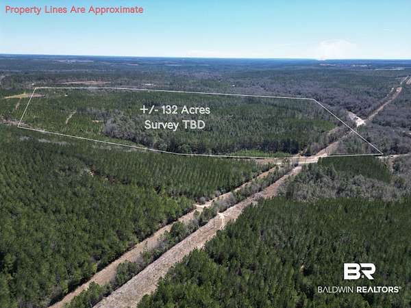 132 Acres of Recreational & Residential Land for Sale in Atmore, Alabama