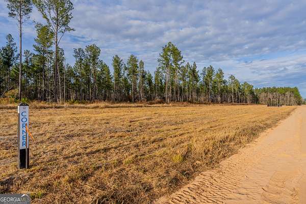 15.9 Acres of Agricultural Land for Sale in Brooklet, Georgia