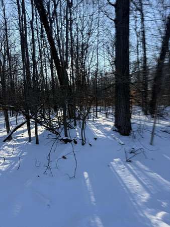 0.78 Acres of Land for Sale in Reed City, Michigan