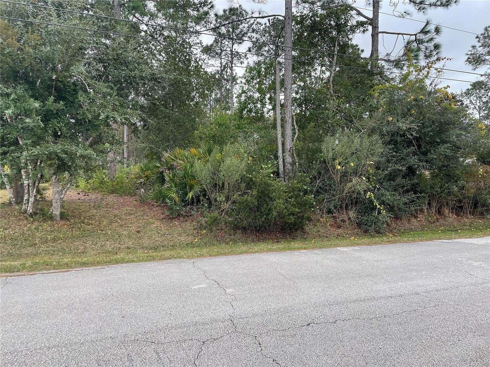 0.25 Acres of Residential Land for Sale in Palm Coast, Florida