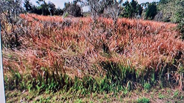 0.25 Acres of Land for Sale in North Port, Florida