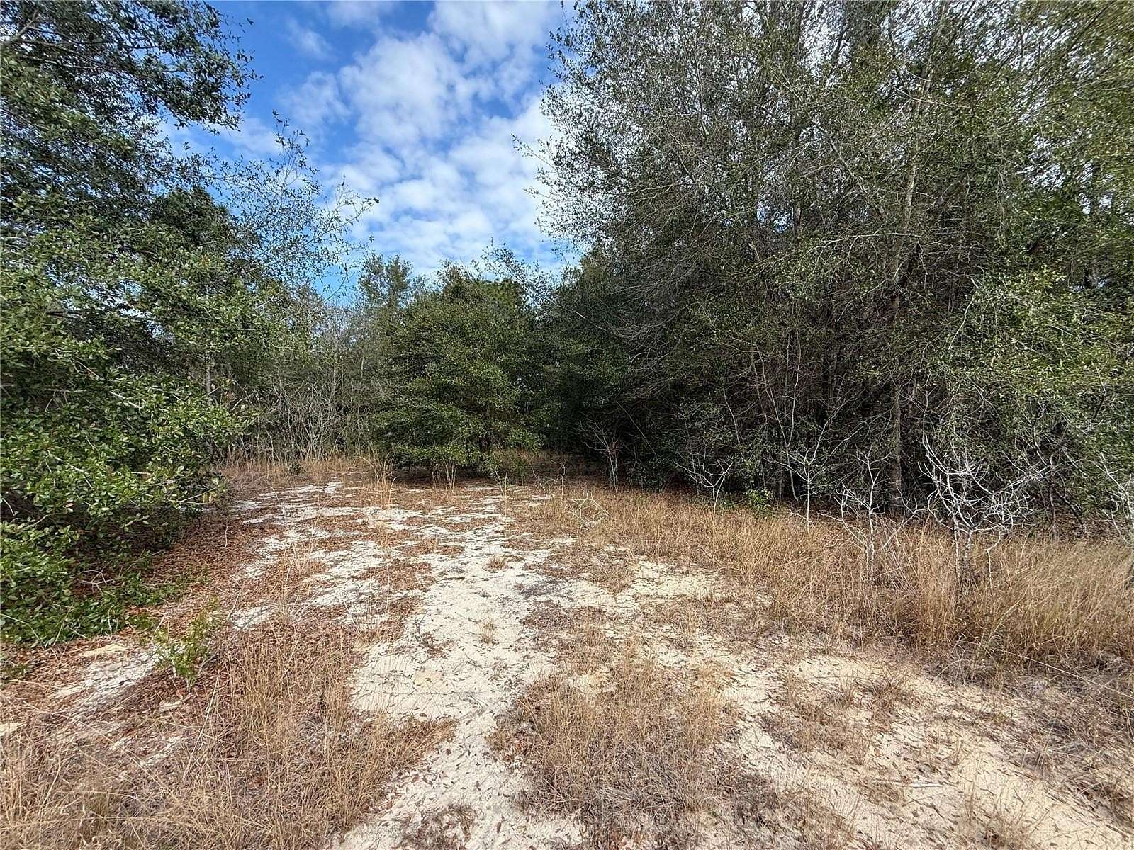 3 Acres of Residential Land for Sale in Belleview, Florida