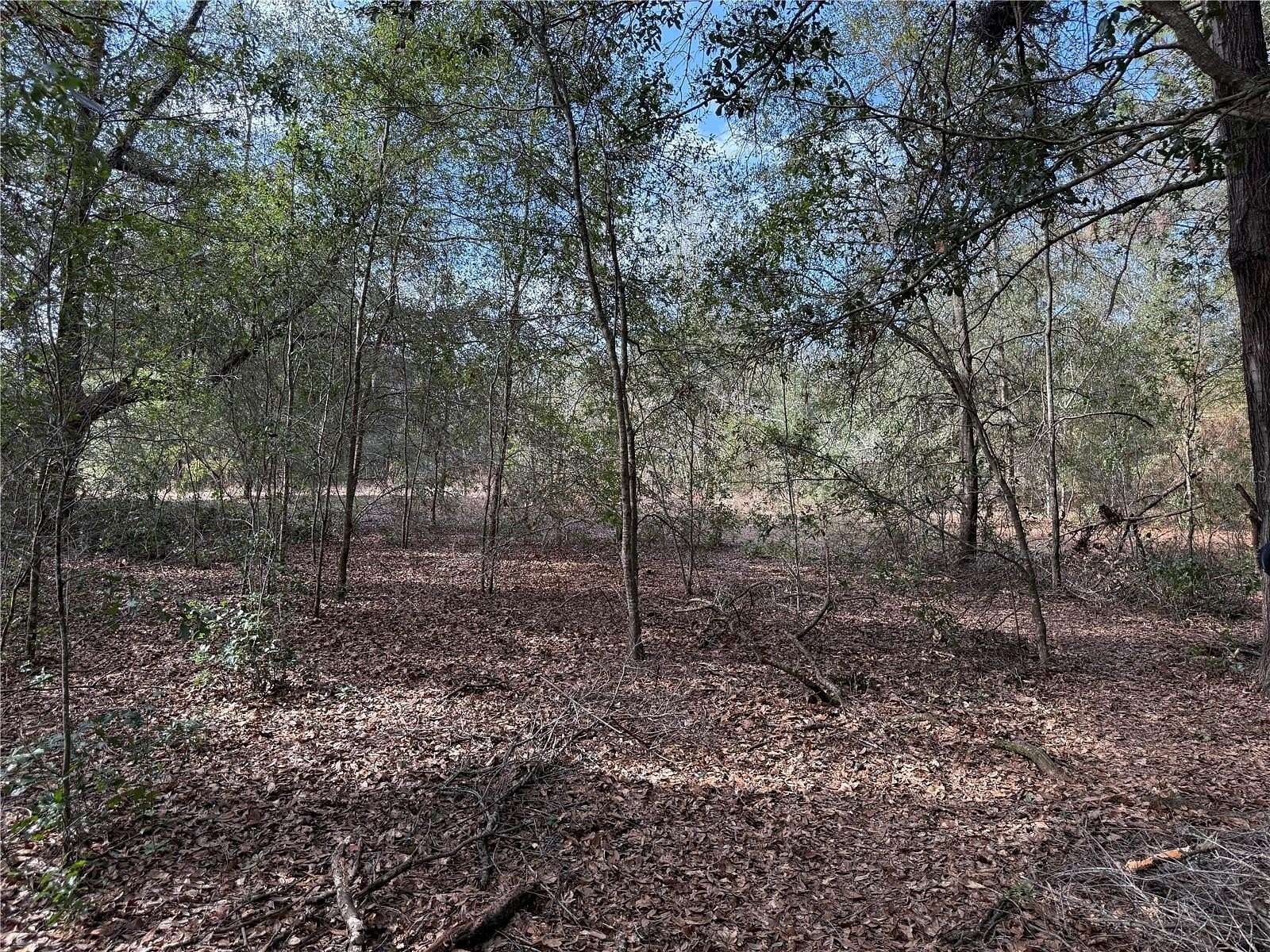 3 Acres of Residential Land for Sale in Belleview, Florida