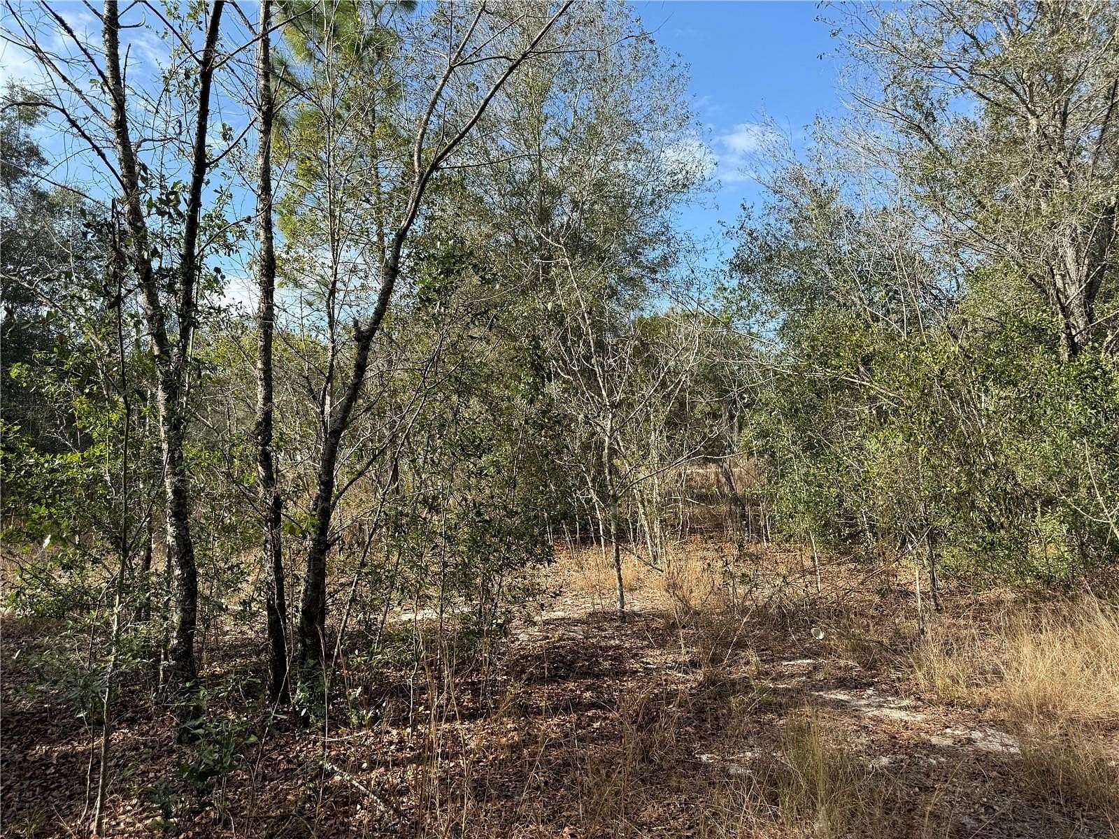 3 Acres of Residential Land for Sale in Belleview, Florida
