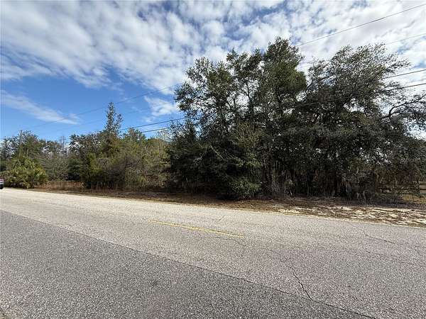 3 Acres of Residential Land for Sale in Belleview, Florida