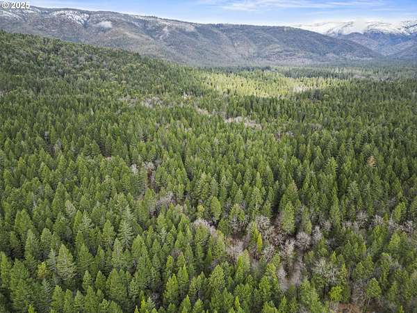 13.3 Acres of Land for Sale in O'Brien, Oregon