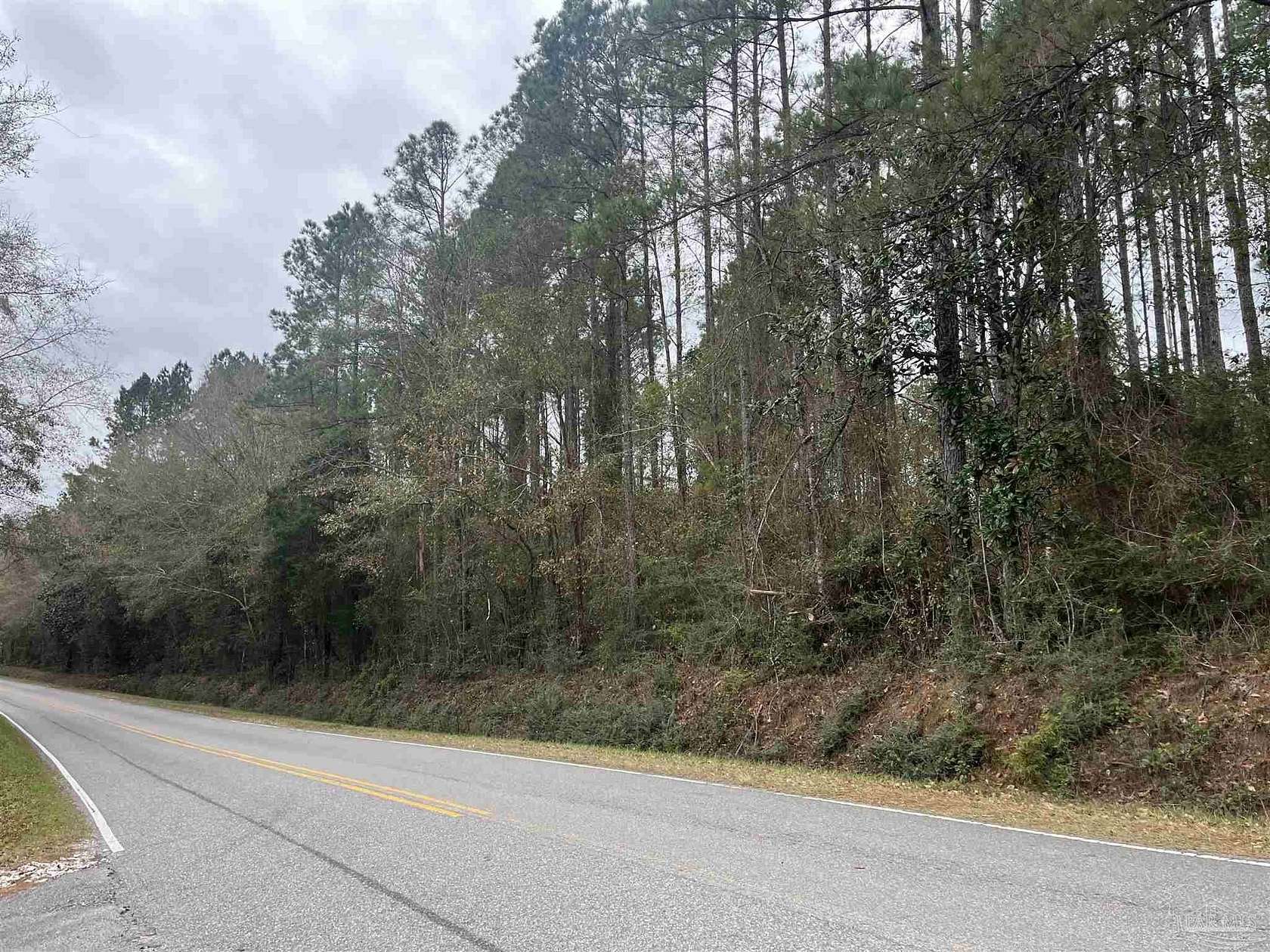 26.3 Acres of Recreational Land for Sale in McDavid, Florida