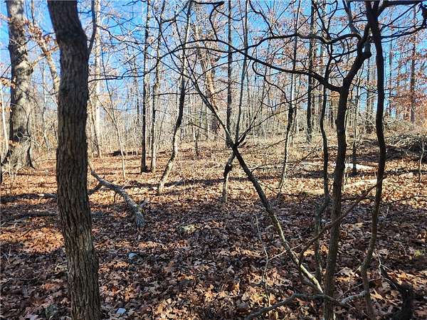 0.26 Acres of Land for Sale in Bella Vista, Arkansas
