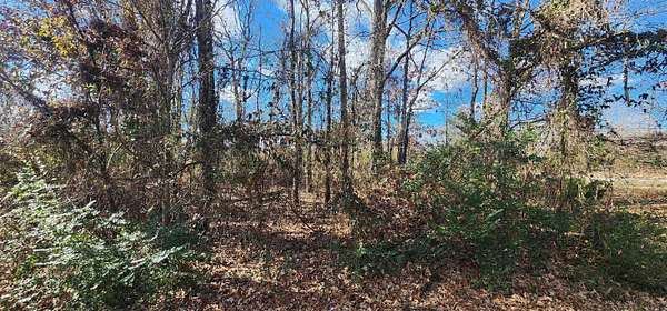 0.27 Acres of Residential Land for Sale in Cabot, Arkansas