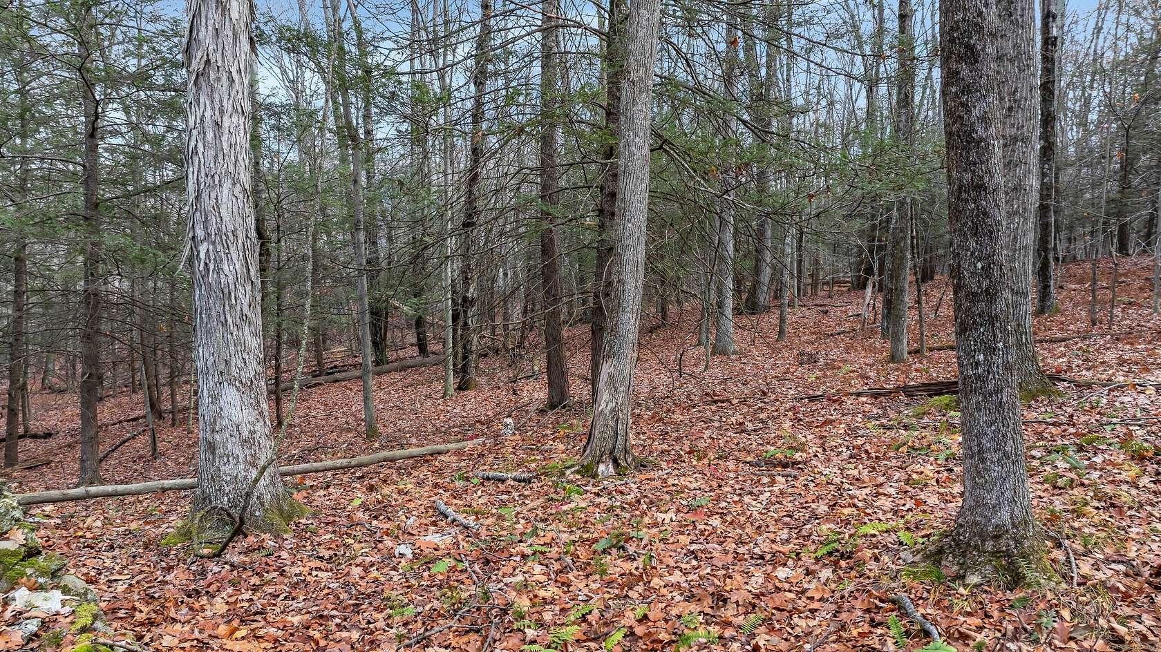 26.7 Acres of Land for Sale in Roxbury, Connecticut