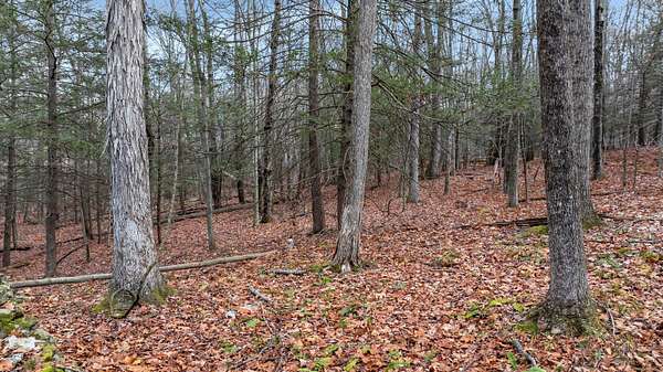 26.7 Acres of Land for Sale in Roxbury, Connecticut