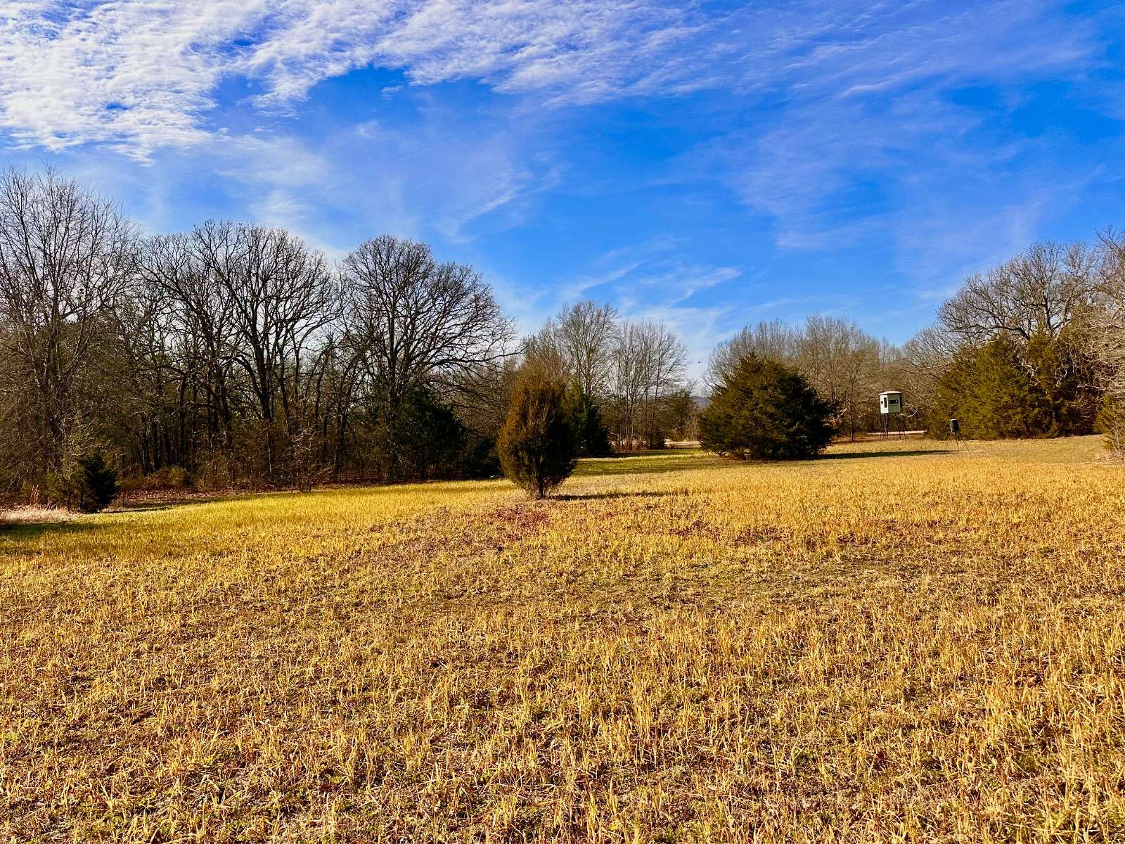 80 Acres of Recreational Land & Farm for Sale in McCurtain, Oklahoma