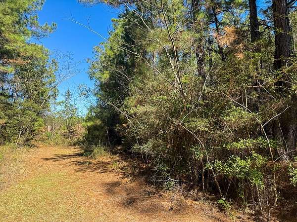 Residential Land for Sale in Ivanhoe, Texas