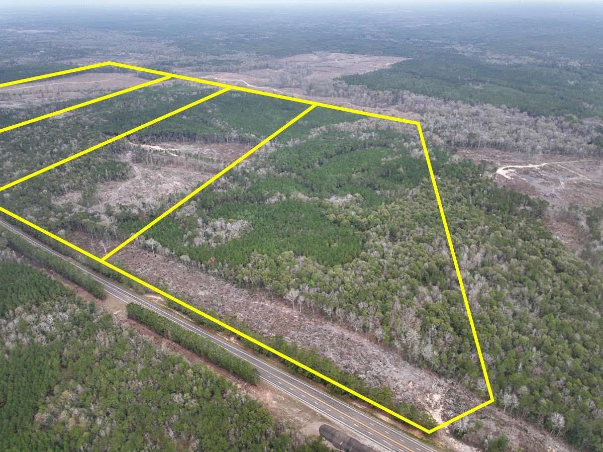 61 Acres of Recreational & Residential Land for Sale in Newton, Texas