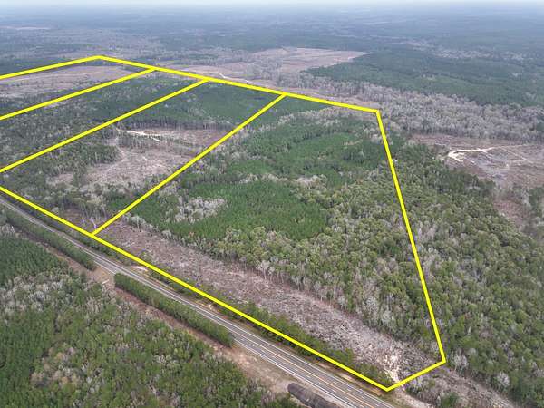 78 Acres of Recreational & Residential Land for Sale in Newton, Texas