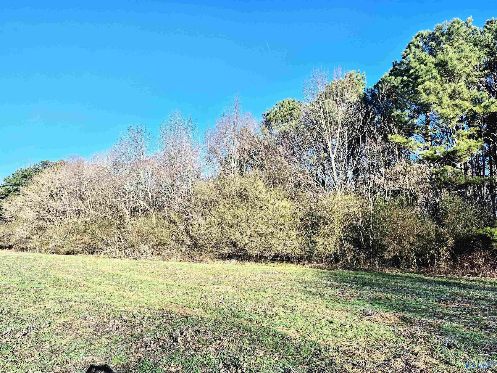 8.8 Acres of Land for Sale in Guntersville, Alabama