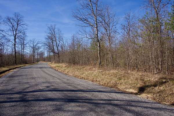 100 Acres of Land for Sale in Pikeville, Tennessee