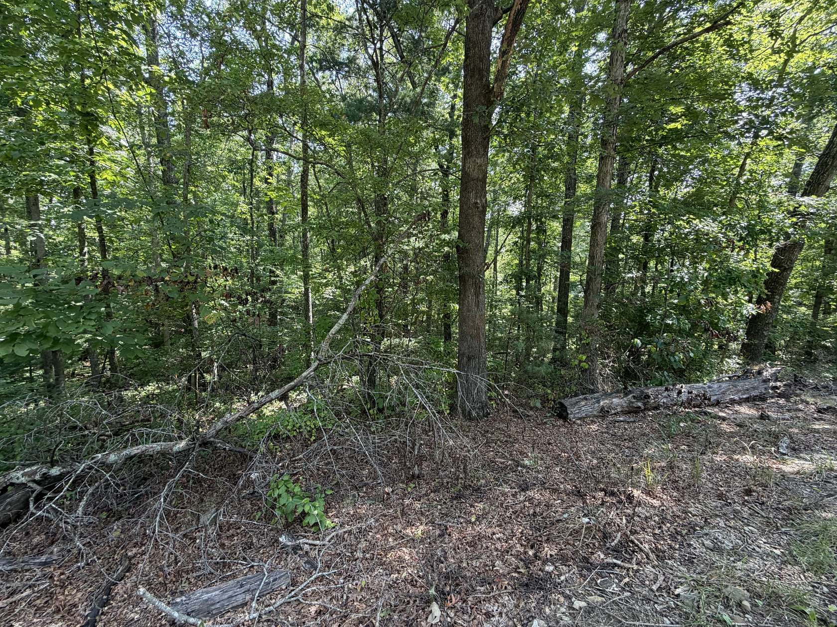 1.38 Acres of Residential Land for Sale in Crossville, Tennessee