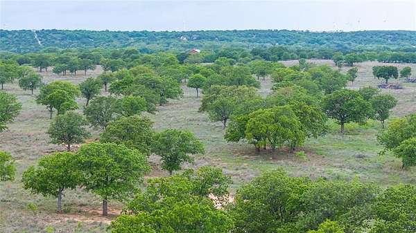 403 Acres of Land for Sale in Ovalo, Texas