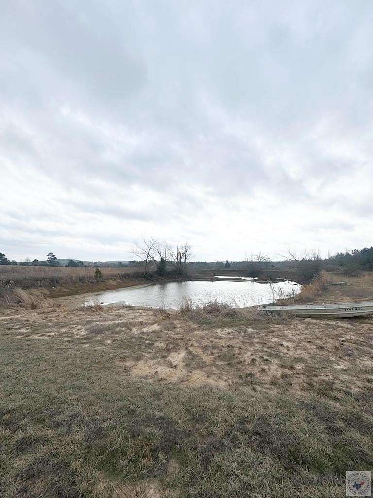 19.5 Acres of Land for Sale in Linden, Texas