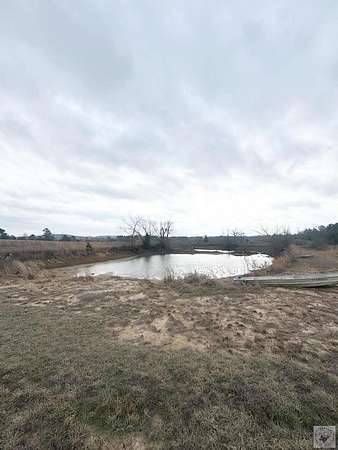 19.5 Acres of Land for Sale in Linden, Texas