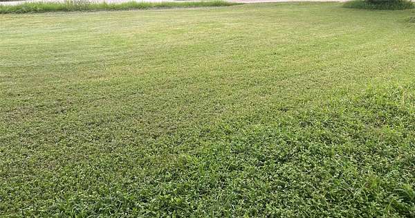 0.48 Acres of Residential Land for Sale in Mount Calm, Texas