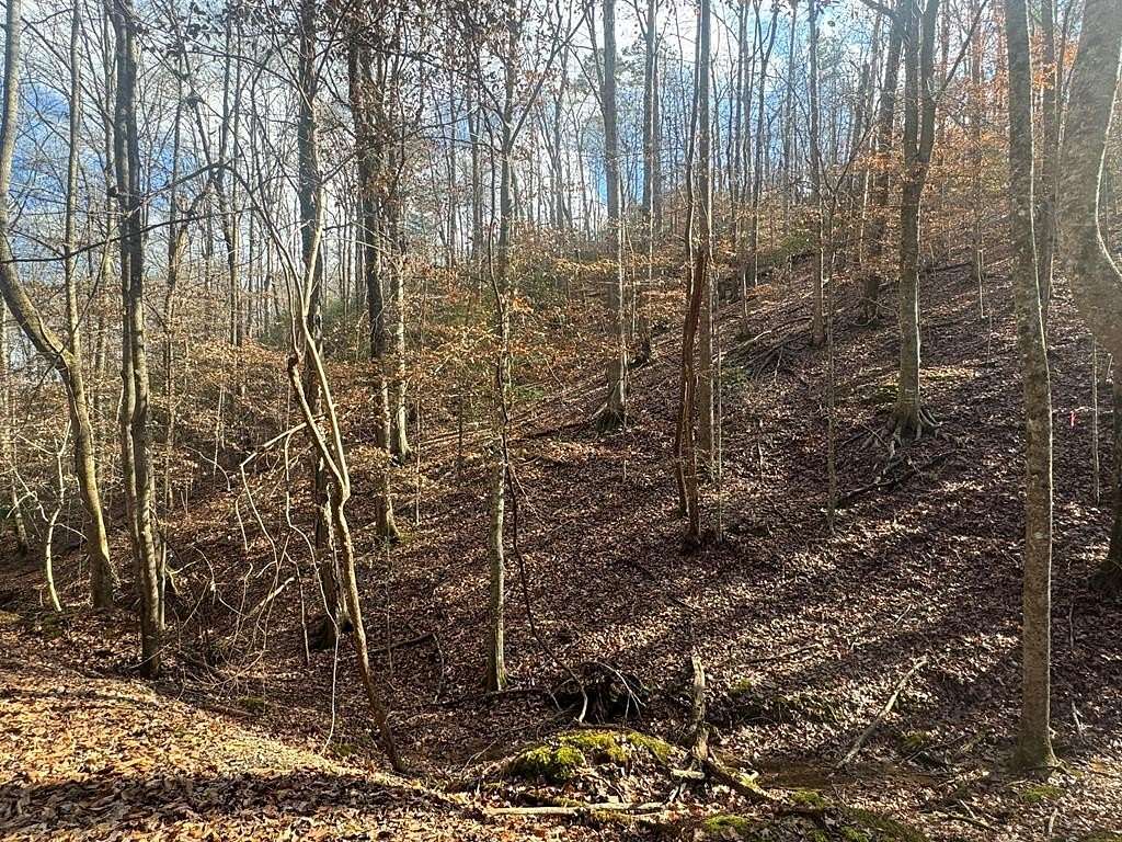 0.69 Acres of Residential Land for Sale in Ellijay, Georgia